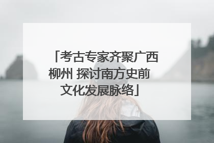 考古专家齐聚广西柳州 探讨南方史前文化发展脉络