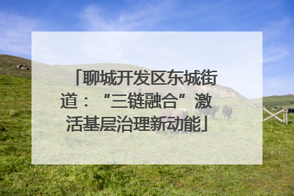 聊城开发区东城街道：“三链融合”激活基层治理新动能