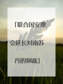 联合国安理会延长对南苏丹的制裁