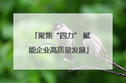 聚焦“四力” 赋能企业高质量发展