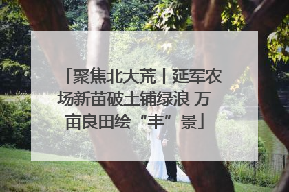 聚焦北大荒丨延军农场新苗破土铺绿浪 万亩良田绘“丰”景