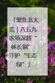 聚焦北大荒｜八五九农场深耕“林长制” 守护“生态绿”