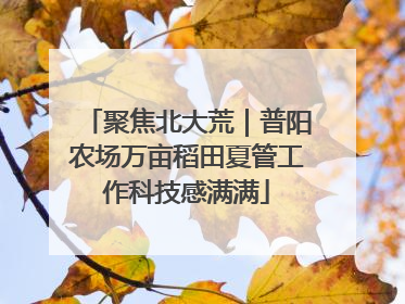 聚焦北大荒｜普阳农场万亩稻田夏管工作科技感满满