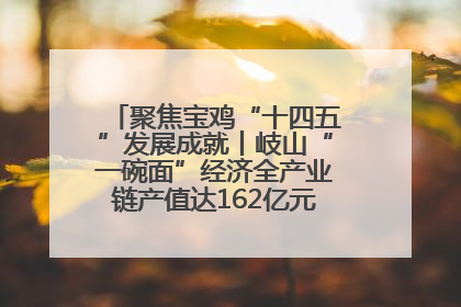 聚焦宝鸡“十四五”发展成就丨岐山“一碗面”经济全产业链产值达162亿元 入选全国典型县