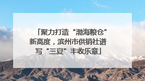 聚力打造“渤海粮仓”新高度，滨州市供销社谱写“三夏”丰收乐章