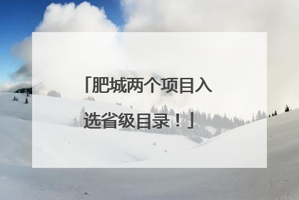 肥城两个项目入选省级目录！