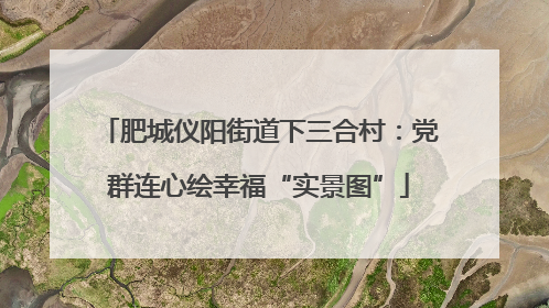 肥城仪阳街道下三合村：党群连心绘幸福“实景图”
