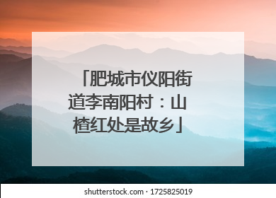 肥城市仪阳街道李南阳村：山楂红处是故乡