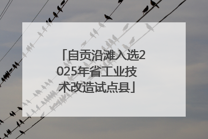 自贡沿滩入选2025年省工业技术改造试点县