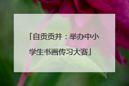 自贡贡井：举办中小学生书画传习大赛