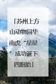 苏州上方山动物园华南虎“星星”成功诞下四胞胎