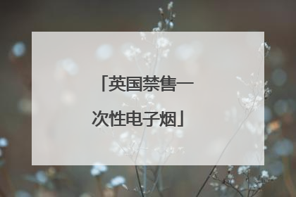英国禁售一次性电子烟
