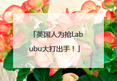 英国人为抢Labubu大打出手！