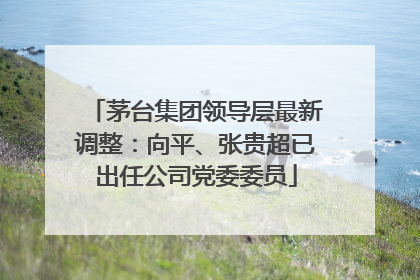 茅台集团领导层最新调整：向平、张贵超已出任公司党委委员