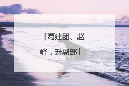 葛建团、赵峰，升副部