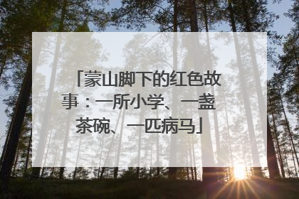 蒙山脚下的红色故事：一所小学、一盏茶碗、一匹病马