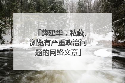 薛建华，私藏、浏览有严重政治问题的网络文章