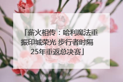 薪火相传：哈利魔法重振印城荣光 步行者时隔25年重返总决赛