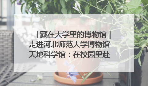 藏在大学里的博物馆｜走进河北师范大学博物馆天地科学馆：在校园里赴一场“宇宙之约”