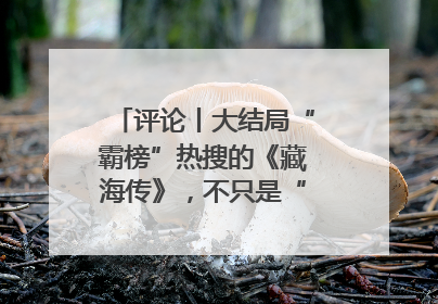 评论丨大结局“霸榜”热搜的《藏海传》，不只是“肖战变了”