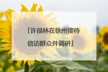 许昆林在徐州接待信访群众并调研