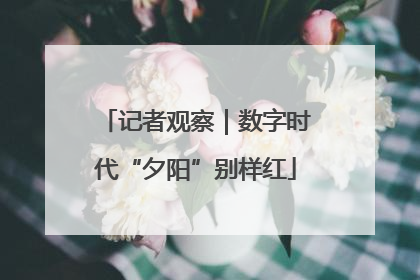 记者观察｜数字时代“夕阳”别样红