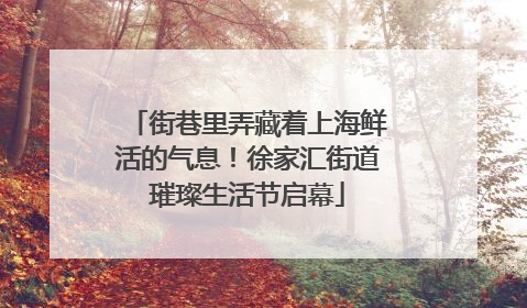 街巷里弄藏着上海鲜活的气息！徐家汇街道璀璨生活节启幕
