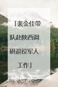 裴金佳带队赴陕西调研退役军人工作