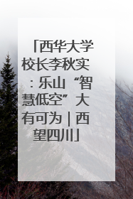 西华大学校长李秋实：乐山“智慧低空”大有可为｜西望四川