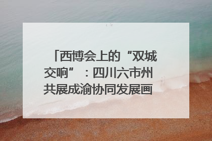 西博会上的“双城交响”：四川六市州共展成渝协同发展画卷｜西博视界