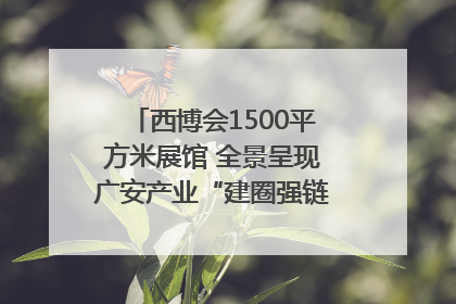 西博会1500平方米展馆 全景呈现广安产业“建圈强链”｜西博视界