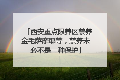 西安重点限养区禁养金毛萨摩耶等，禁养未必不是一种保护