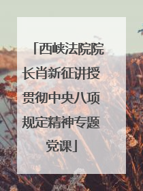 西峡法院院长肖新征讲授贯彻中央八项规定精神专题党课
