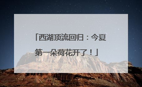 西湖顶流回归：今夏第一朵荷花开了！