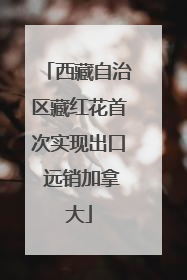 西藏自治区藏红花首次实现出口 远销加拿大