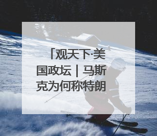 观天下·美国政坛｜马斯克为何称特朗普力推法案“令人作呕”