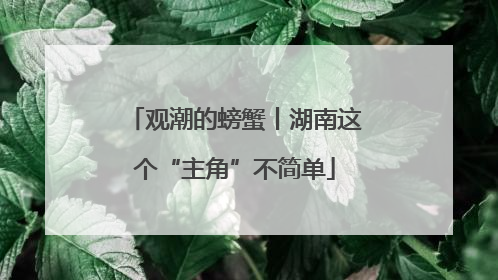 观潮的螃蟹丨湖南这个“主角”不简单