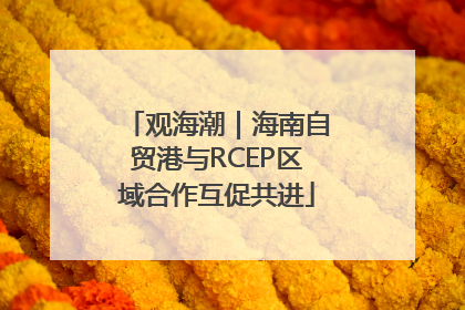 观海潮｜海南自贸港与RCEP区域合作互促共进