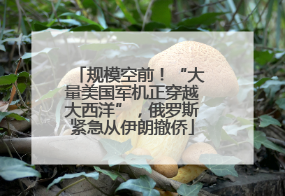 规模空前！“大量美国军机正穿越大西洋”，俄罗斯紧急从伊朗撤侨