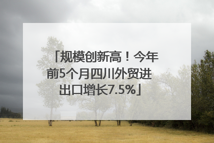 规模创新高！今年前5个月四川外贸进出口增长7.5%