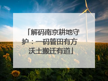 解码南京耕地守护：一码管田有方 沃土搬迁有道