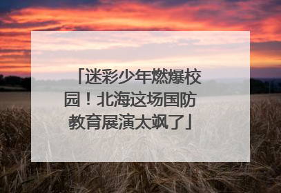 迷彩少年燃爆校园！北海这场国防教育展演太飒了