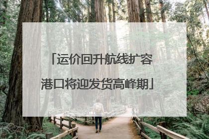 运价回升航线扩容 港口将迎发货高峰期