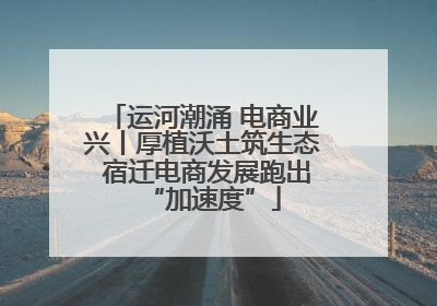 运河潮涌 电商业兴丨厚植沃土筑生态 宿迁电商发展跑出“加速度”