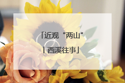 近观“两山”丨西溪往事
