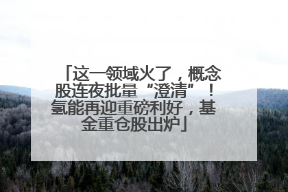 这一领域火了，概念股连夜批量“澄清”！氢能再迎重磅利好，基金重仓股出炉