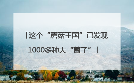 这个“蘑菇王国”已发现1000多种大“菌子”