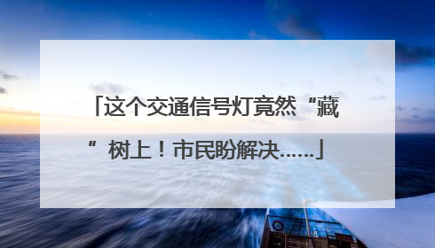 这个交通信号灯竟然“藏”树上！市民盼解决……
