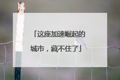 这座加速崛起的城市，藏不住了