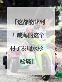 这都能找到！威海的这个村子发现水杉秘境
